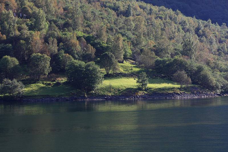 223-Per Gudvangen (Sognefjord),23 agosto 2011.JPG